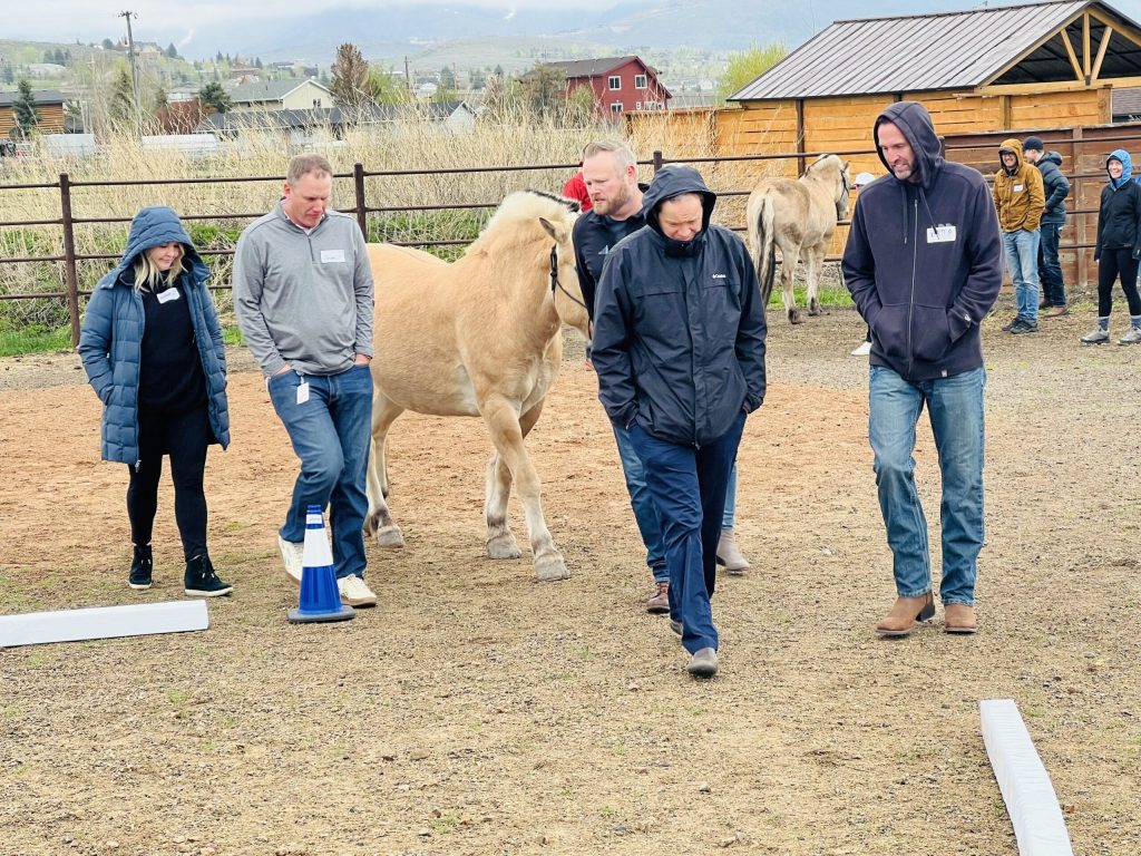 Toolbox for Recovery Experiential Program