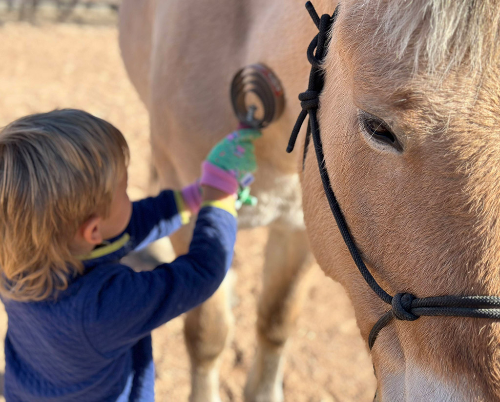 Kinder Horse