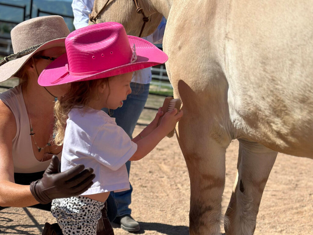 Kinder Horse