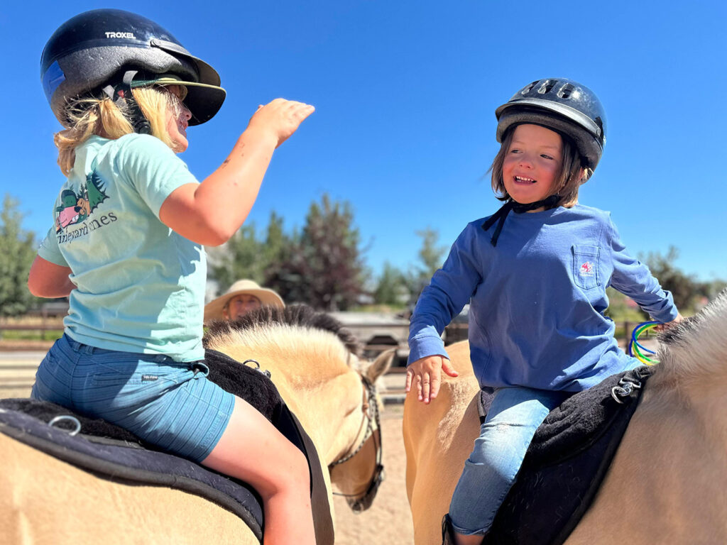 Kinder Horse