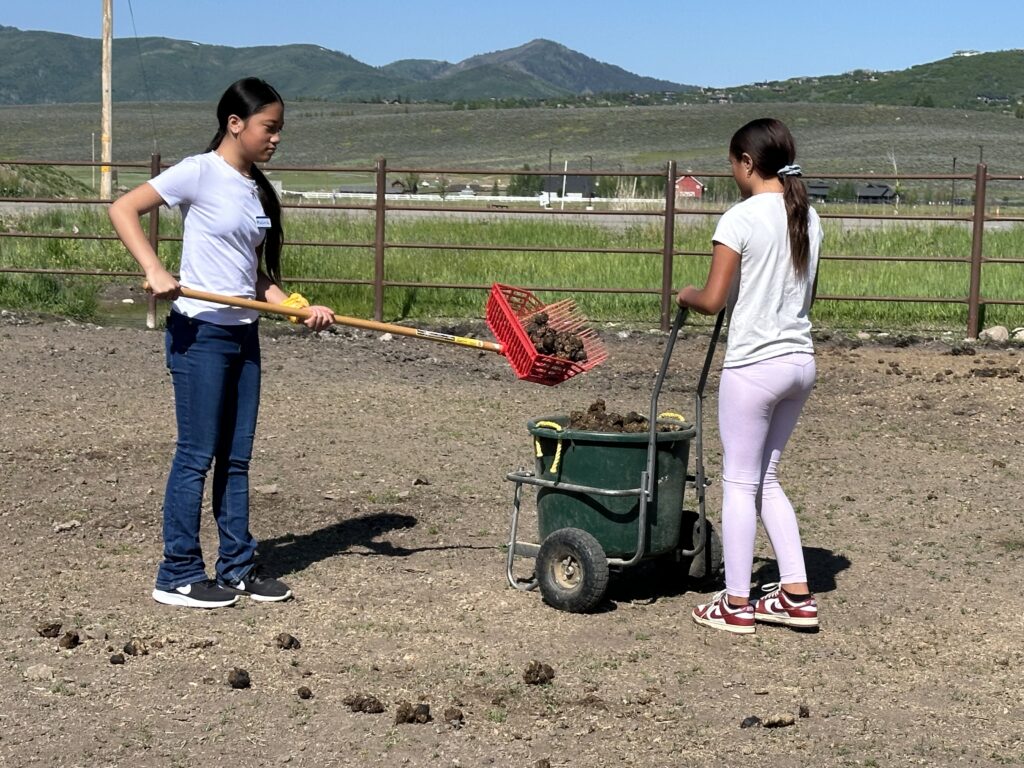 Equellness Kids Summer Workshop