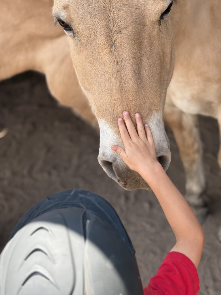 Equellness Kids Summer Workshop