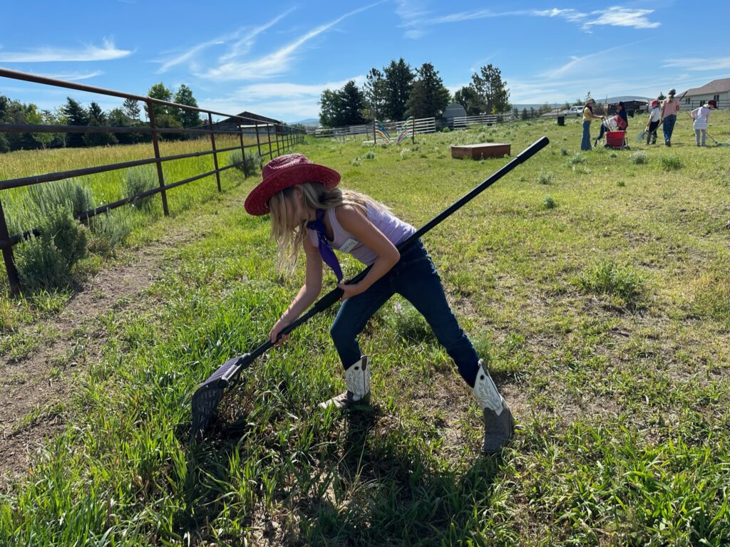 Equellness Kids Summer Workshop