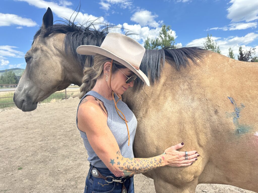 Equellness Wellness Fair Park City | Equine Tack Sale Wellness Event