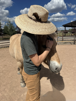 Equellness Center Joins Horses for Mental Health as Program Partner**cant load